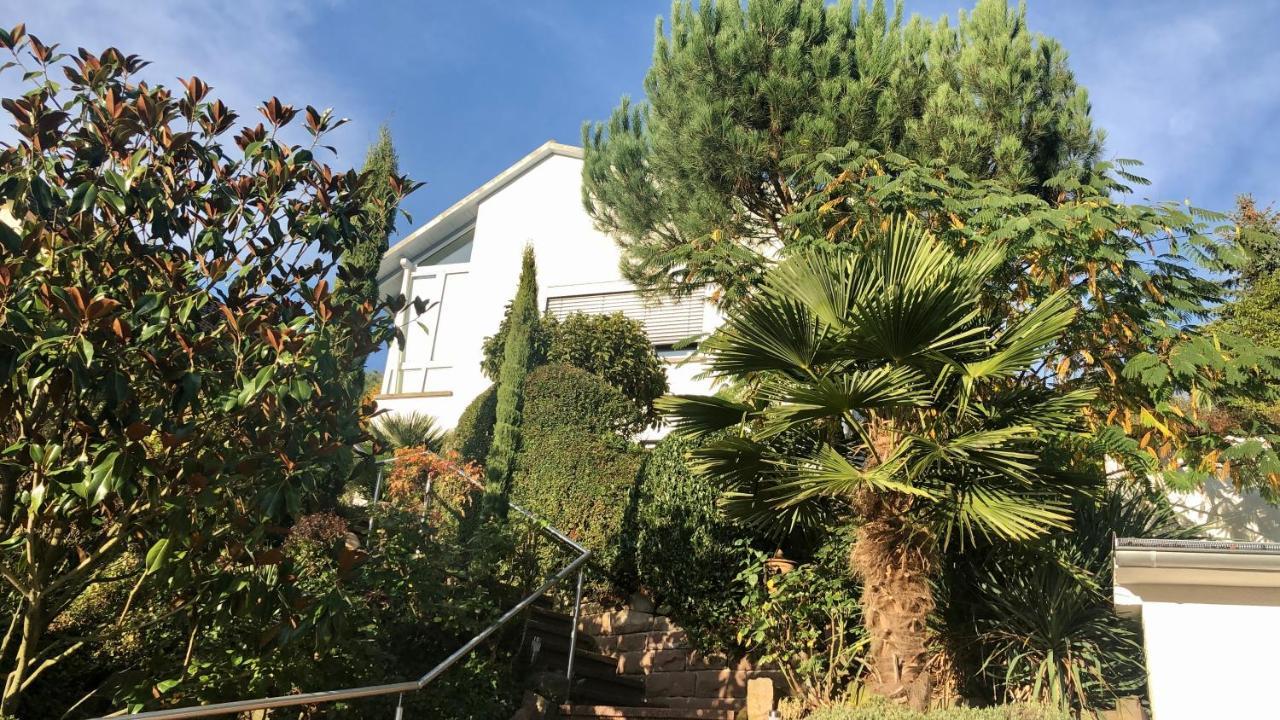 Ferienwohnung Palmenalm Bad Orb Eksteriør billede